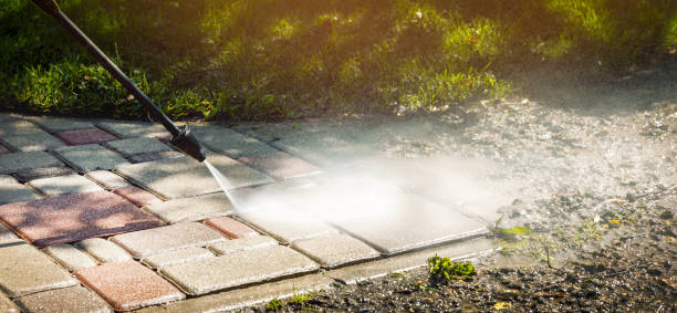Best Pool Deck Cleaning  in Olive Branch, MS